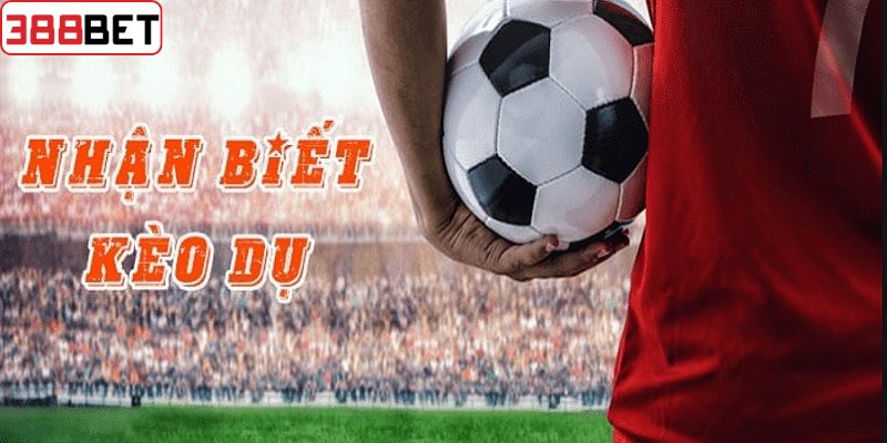 Cách nhận biết kèo dụ là gì?