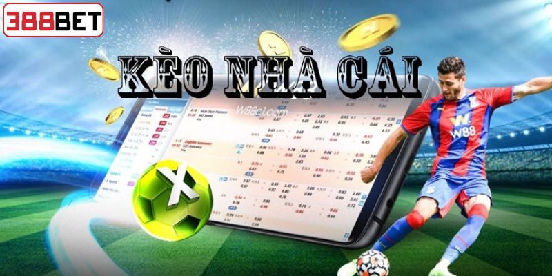 Kinh nghiệm bất bại khi soi kèo từ chuyên gia