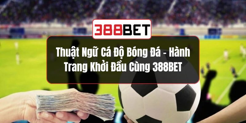 Thuật Ngữ Cá Độ Bóng Đá - Hành Trang Khởi Đầu Cùng 388BET